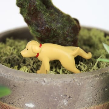 Adorable Dogs Plant Markers