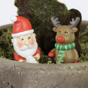 Mini Plant Pot Festive Gnomes
