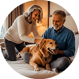 £129 - Dog Friendly Hotel Stay £129 - Dog Friendly Hotel Stay