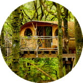 £399 - Two Night Tree House Escape £399 - Two Night Tree House Escape