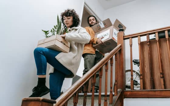 Your Guide to Moving Home with Plants
