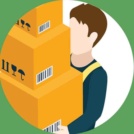 man and van driver carrying parcels vector image