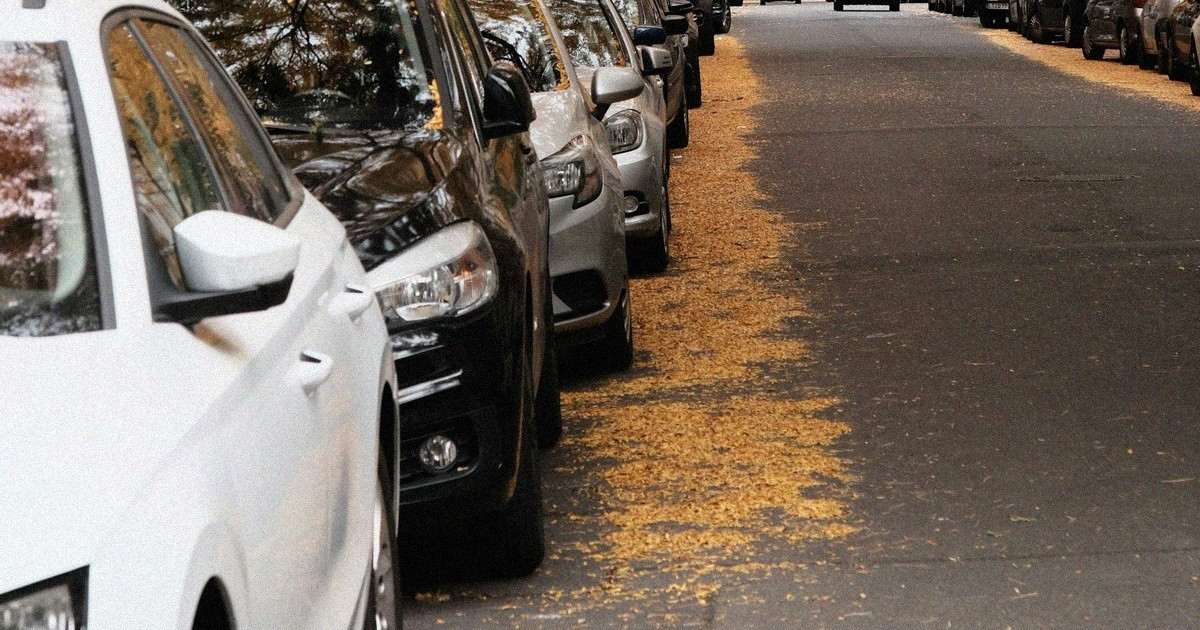 Autoja pysäköitynä kadun varteen syksyisessä kaupunkiympäristössä.
