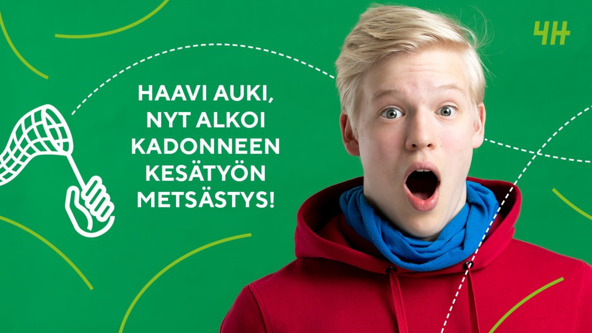4H lupaa työllistää 250 nuorta Kadonneen kesätyön metsästys -kampanjassa