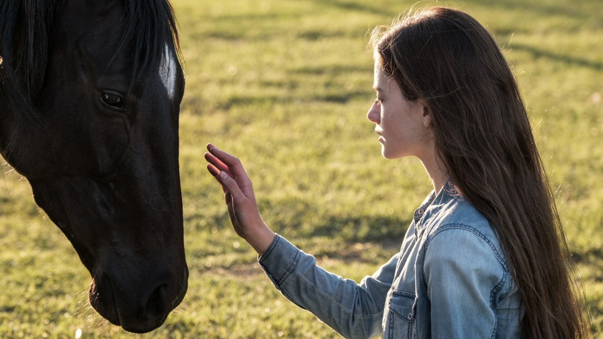 Disney+ julkaisi Anna Sewellin Uljas Musta -kirjaan perustuvan elokuvan Black Beauty - Mackenzie Foy tähdittää