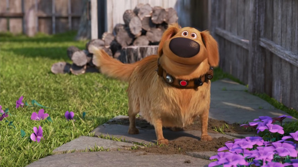 Disney+ nyt: Up - kohti korkeuksia -elokuva jatkuu spinoff-sarjalla Dogin elämää