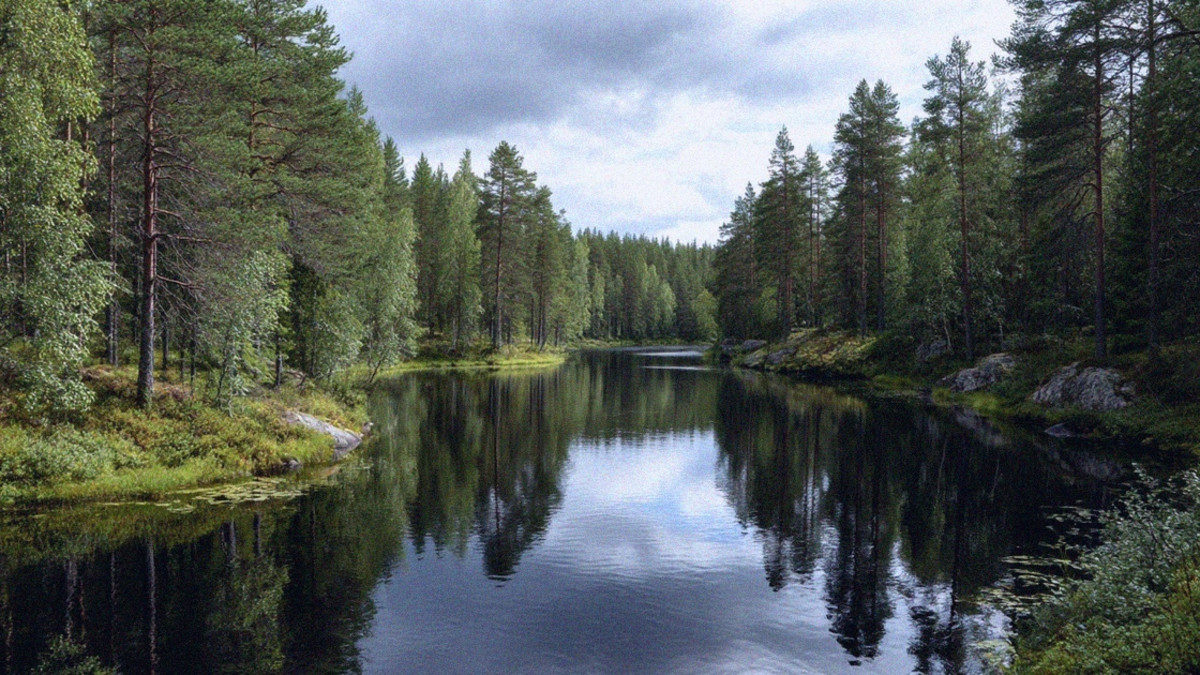 Tutkimus: Suomi edelleen sähkövajauksessa vuonna 2030 - tuuli ja aurinko eivät yksin riitä