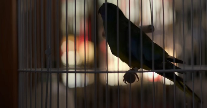 Netflix julkaisee pian jatkoa kauhusuosikille: Bird Box Barcelona