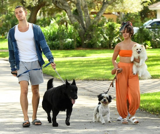 Shawn Mendes - Camila Cabello