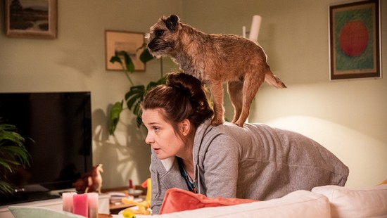 Ei haukku haavaa tee