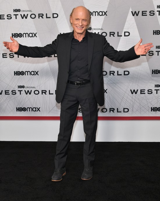 Westworld - Ed Harris