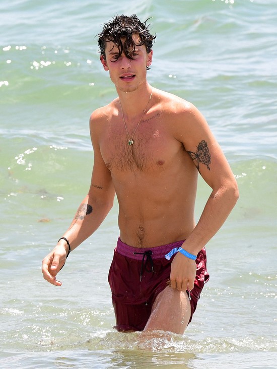 Shawn Mendes