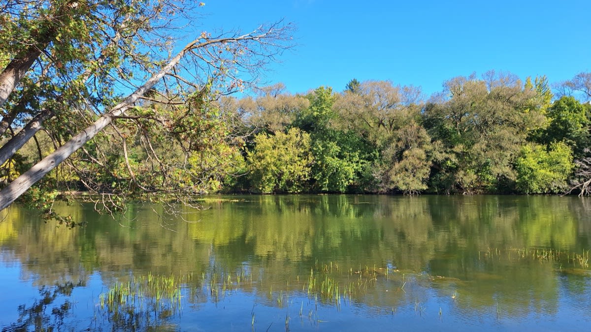 Two beaches, a gorge and a river trail, an hour from your door