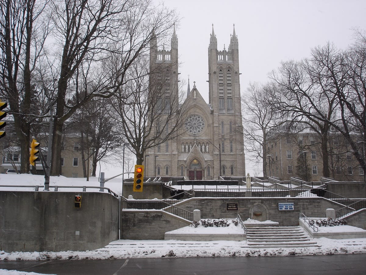 Guelph this fall: the dates to know before everyone else does