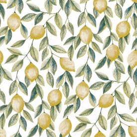 BONITA - 140cm - 20m - CITRUS LIMONUM img