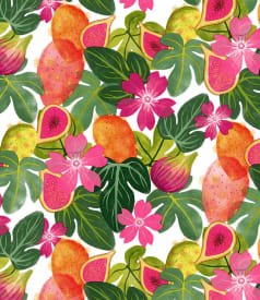 BONITA - 140cm - 20m - FIGOS PINK img