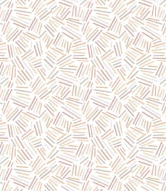 BONITA - 140cm - 20m - COLOR LINES ORANGE img