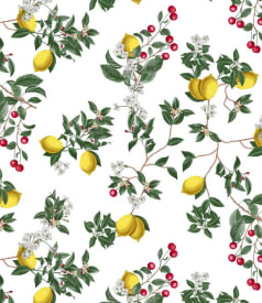 BONITA - 140cm - 20m - CHERRY LEMON img