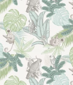 BONITA - 155cm ronde - 6pc/rlx - MANAUS GREEN img