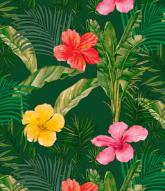 BONITA - 155cm round - 6pc/roll - HIBIS GREEN img