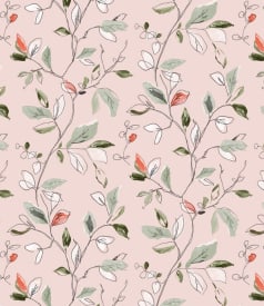 BONITA - 155cm ronde - 6pc/rlx - DIANA ROSE img