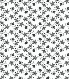 CAPTAIN COOK - 140cm - 20m - BLOOM BLOOM POSH img