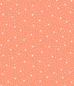 CAPTAIN COOK - 140cm - 20m - LET IT GO PAPAYA img