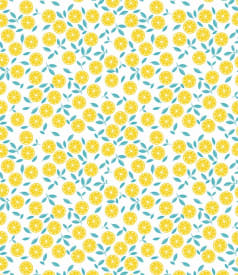 CAPTAIN COOK - 140cm - 20m - SLICE ME UP LIMONATA img