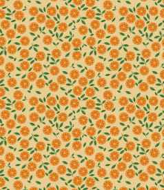 CAPTAIN COOK - 140cm - 20m - SLICE ME UP MARMALADE img