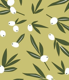 CAPTAIN COOK - 140cm - 20m - OLIVE IT AVOCADO img