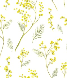 EURONAP - 140cm - 20m - FEBRO YELLOW img