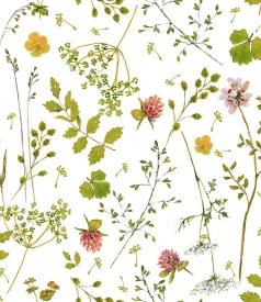 EURONAP - 140cm - 20m - BATEA GREEN img