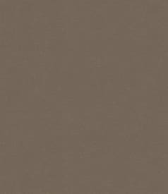 BONITA FELTEX - 160cm - 15m - FUNDO CRAFT BROWN img