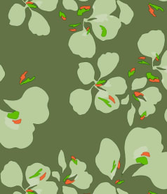 LOLA - 140cm - 20m - ORKIDÉ DUSTY OLIVE img