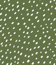 LOLA - 140cm - 20m - SPOT ON DUSTY OLIVE img