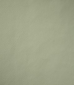 MONACO - 145cm - 30m - GREEN TEA img