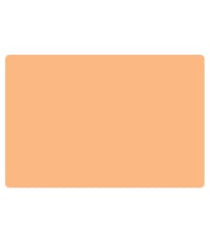 PLACEMAT - anti-slip - 30x45cm - 12st - UNI APRICOT img