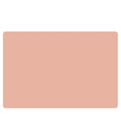 PLACEMAT - anti-slip - 30x45cm - 12st - UNI DUNE img