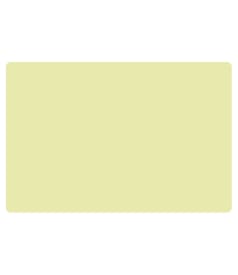 PLACEMAT - anti-slip - 30x45cm - 12st - UNI LIMEADE img