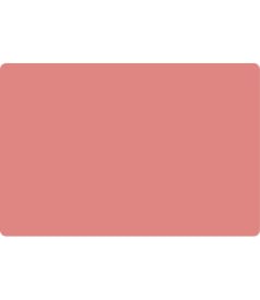 PLACEMAT - anti-slip - 30x45cm - 12st - UNI ROSY img
