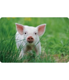 PLACEMAT - PP BEDRUKT - 28,5x43,5cm - 12st - PIGLET img