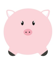PLACEMAT - PP EVA - 38cm rond - 12st - PIG img