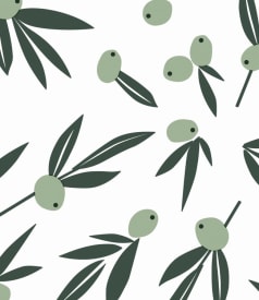 CAPTAIN COOK - 140cm - 20m - OLIVE IT ORIGINAL img