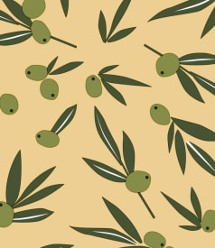 CAPTAIN COOK - 140cm - 20m - OLIVE IT JOJOBA img