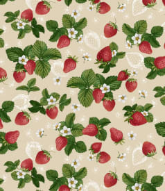 BONITA - 155cm rond - 6st/rol - FRAGARIA img