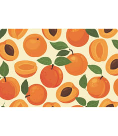 PLACE MAT - non-skid - 30x45cm - 12pc - JUST PEACHY img