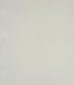 BONITA FELTEX - 140cm - 15m - CIRKLES WHITE img