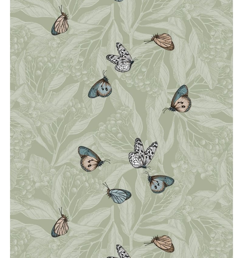 BON164W205 BON164W205 img