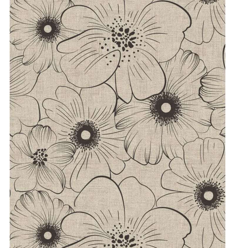 BON1B501 BON1B501 img