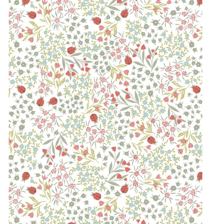 BON4X402 BON4X402 img